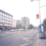 Rotkvarija (Žitni trg) Novi Sad