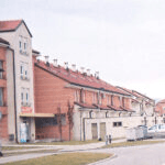 Veternik Novi Sad